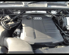 Audi Q5 2021