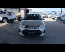 Toyota Corolla Axio 2019