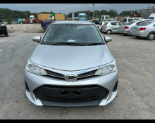 Toyota Corolla Fielder 2020