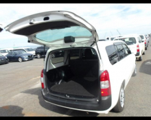 Toyota Succeed Wagon 2019