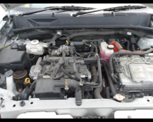 Toyota Succeed Wagon 2019