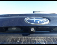 Subaru Impreza XV 2019