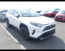 Toyota Rav4 2019 For Sale and Price