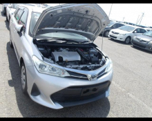 Toyota Corolla Fielder 2019