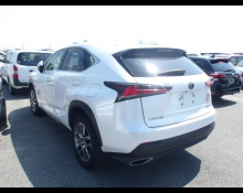 Lexus NX 2020