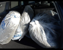 Toyota Corolla Fielder 2010