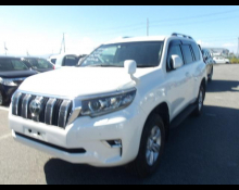 Toyota Land Cruiser Prado 2019