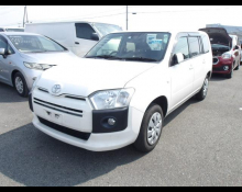 Toyota Succeed Wagon 2019