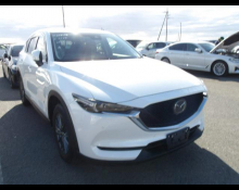 Used Japanese Cars For Sale At Best Price