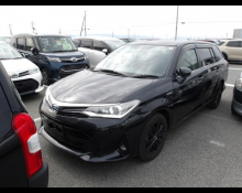 Toyota Corolla Fielder 2019