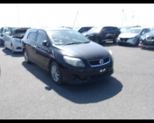 Toyota Corolla Fielder 2010