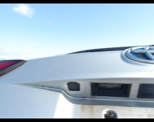 Toyota Corolla Fielder 2019