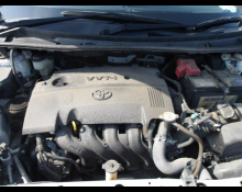 Toyota Corolla Fielder 2019