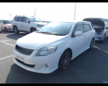 Toyota Corolla Fielder 2010
