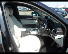 Mazda CX-8 2019