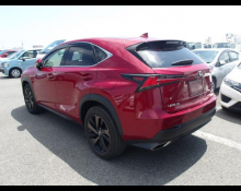 Lexus NX 2020