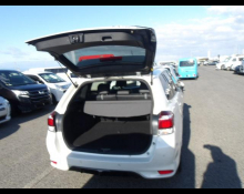 Toyota Corolla Fielder 2019