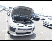 Toyota Succeed Wagon 2019