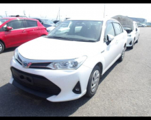 Toyota Corolla Axio 2019