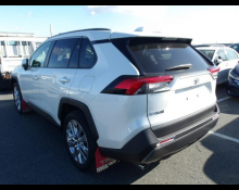 Toyota RAV4 2020