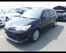 Toyota Corolla Fielder 2019