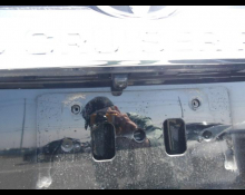 Toyota Land Cruiser Prado 2020