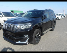 Toyota Land Cruiser Prado 2019