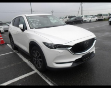 Used Japanese Cars For Sale At Best Price