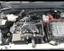 Toyota Succeed Wagon 2019