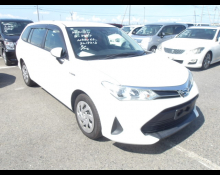 Toyota Corolla Fielder 2019