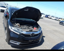 Honda Shuttle 2020