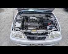 Toyota Sprinter Sedan 1999