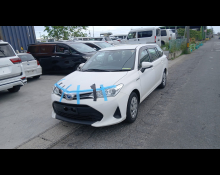 Toyota Corolla Fielder 2019