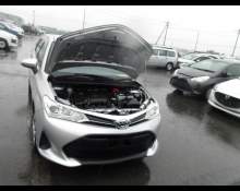 Toyota Corolla Fielder 2019