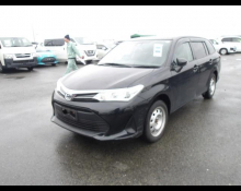 Toyota Corolla Fielder 2020