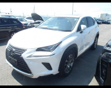 Lexus NX 2020