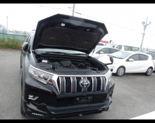 Toyota Land Cruiser Prado 2022
