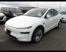 TESLA MODEL Y 2025