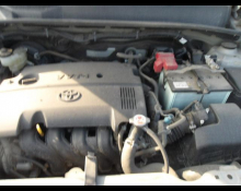 Toyota Succeed Wagon 2019