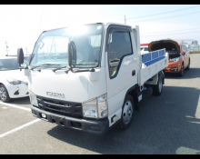 Isuzu Elf Truck 2020