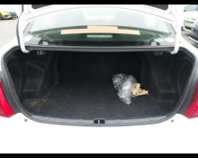 Toyota Corolla Axio 2020