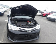Toyota Corolla Fielder 2020