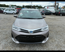 Toyota Corolla Axio 2019