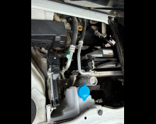 Suzuki Carry Truck 2019