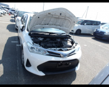 Toyota Corolla Fielder 2021