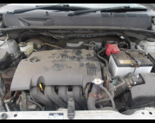 Toyota Succeed Wagon 2019