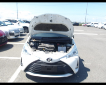 Toyota Vitz 2019