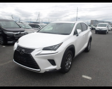 Lexus NX 2019