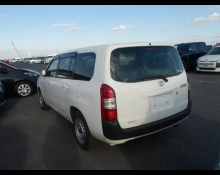 Toyota Succeed Wagon 2019