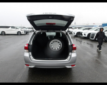 Toyota Corolla Fielder 2021